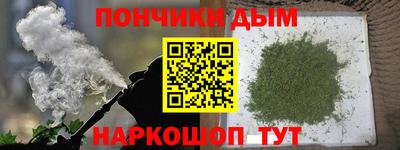 шишки Краснознаменск