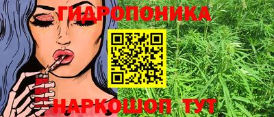 spice Краснокаменск