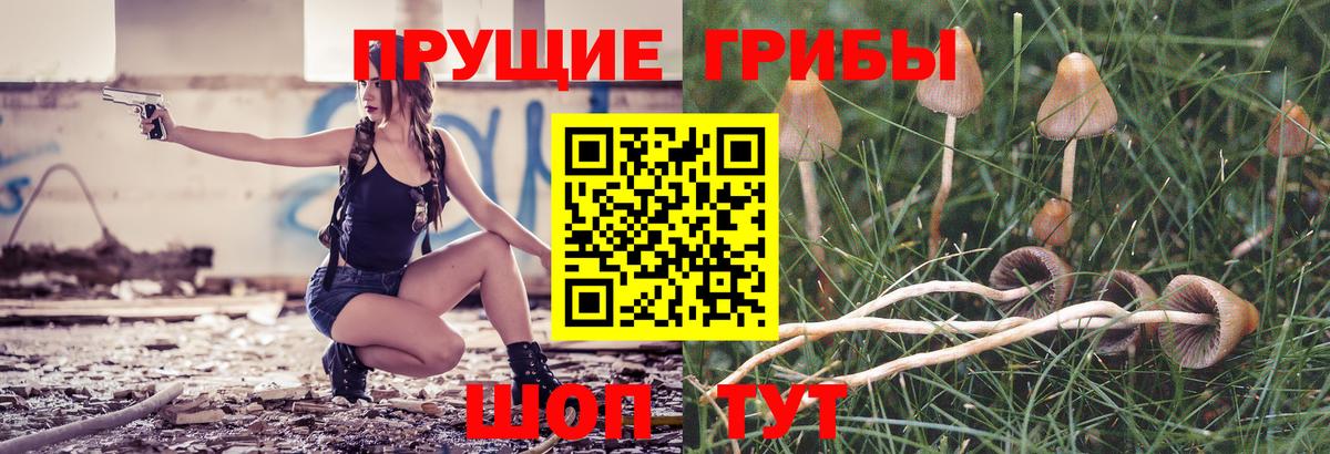 Псилоцибиновые грибы GOLDEN TEACHER  Вход с VPN  Кондопога 